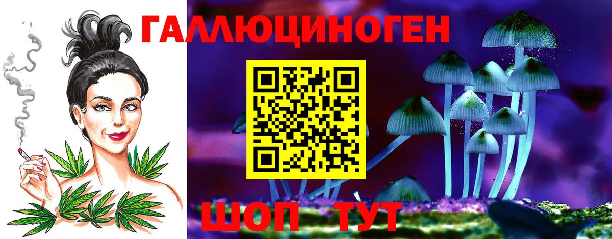 Псилоцибиновые грибы Cubensis Бутурлиновка